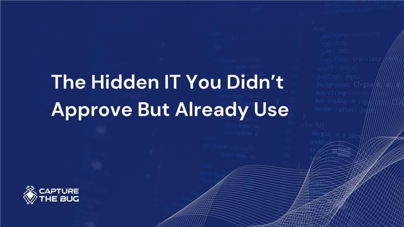 Shadow IT Risks Detection Management