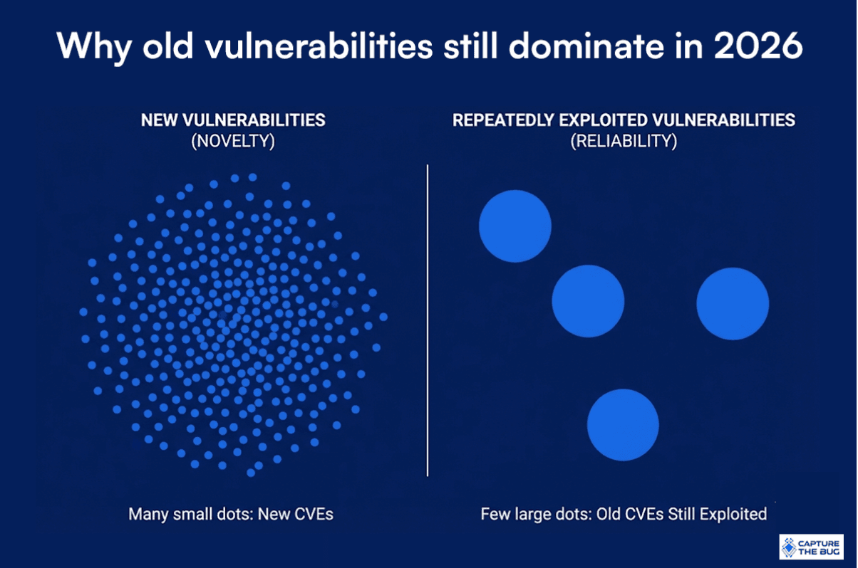 Why Old Vulnerabilities Dominate