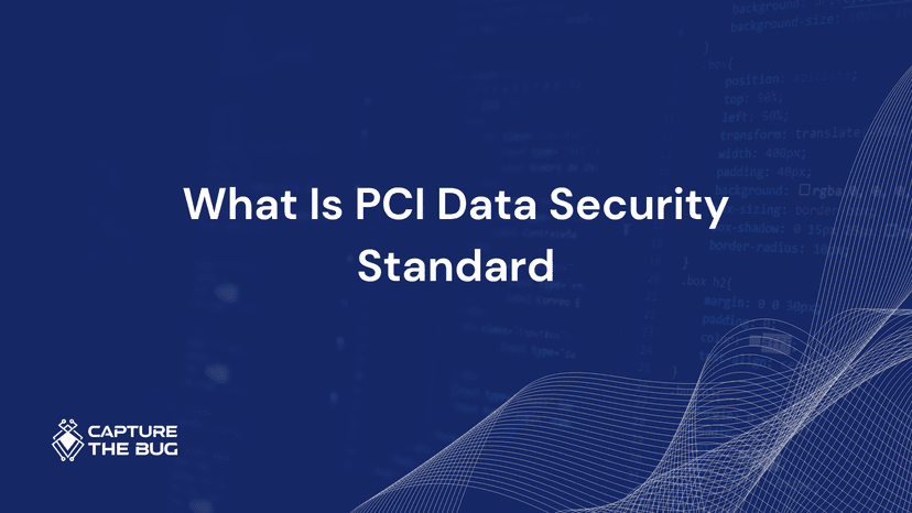 What Is PCI Data Security Standard