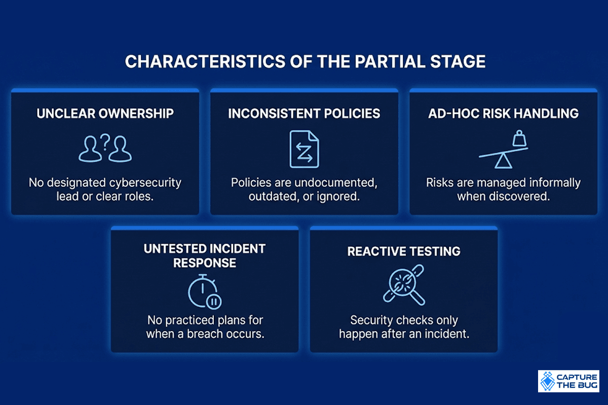 Partial Security Maturity Stage