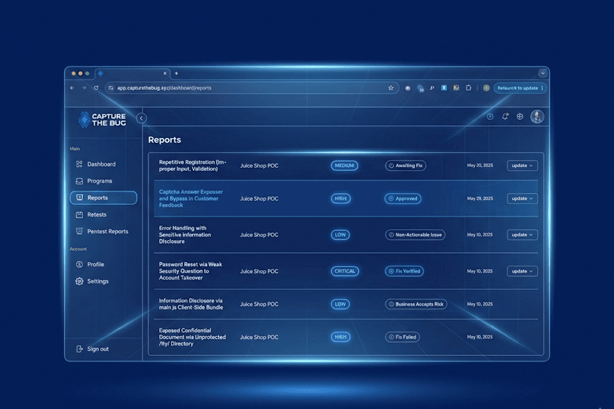 Core Audit Focus Domains