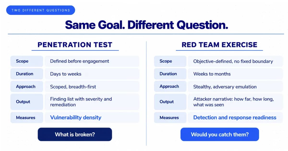 What Each Exercise Measures