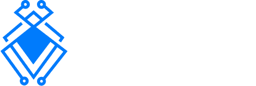 Capture The Bug