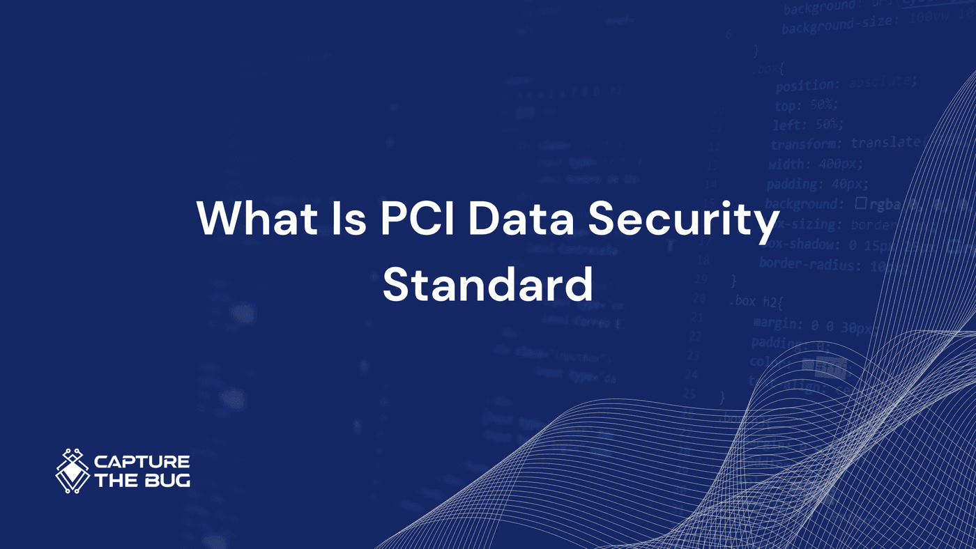 What Is PCI Data Security Standard | PCI DSS Explained Clearly